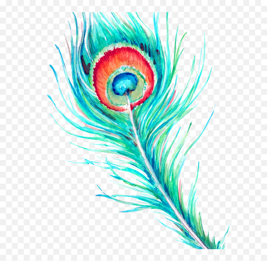 Peacock Feather Hd Beautiful Png - Peacock Feather,Peacock Feather Icon