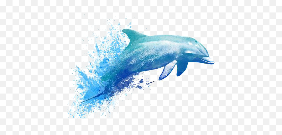 Dolphin Painting Drawing Png Free Photo - Painted Dolphin,Dolphin Clipart Png