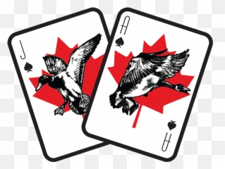 Black Jack Outfitters - Albertau0027s Best Duck Hunting Experience Illustration Png,Duck Hunt Png