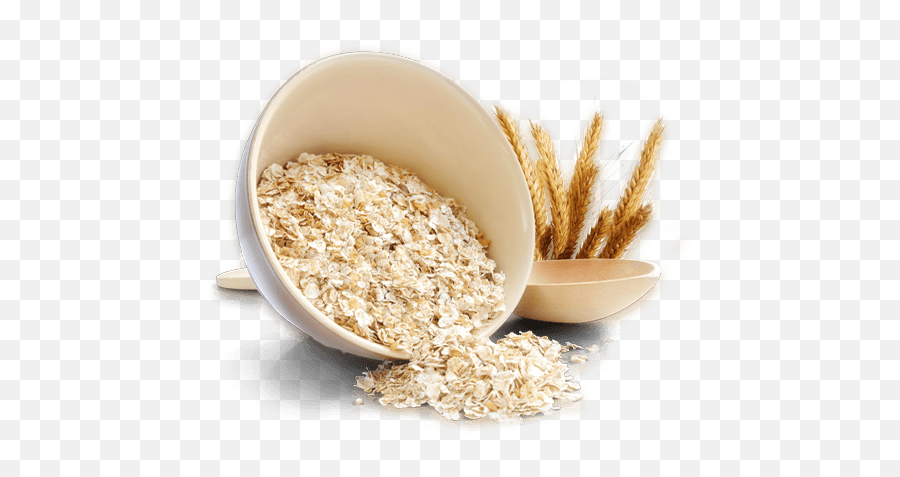 Porridge Png Images Transparent Background Play - Oatmeal Png,Wheat Transparent Background