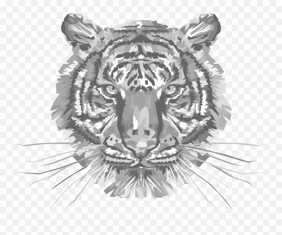 Download Geometric Tiger Head Grayscale - Abstract Tiger Art Png,Tiger Head Png