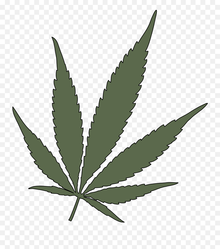 Feuille De Cannabis Png 1 Image - Vector Marijuana Leaf Png,Cannabis Png