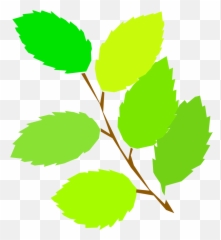 Download Leaves Leaf Vector In Open Office Drawing Clipart - Spring Art png