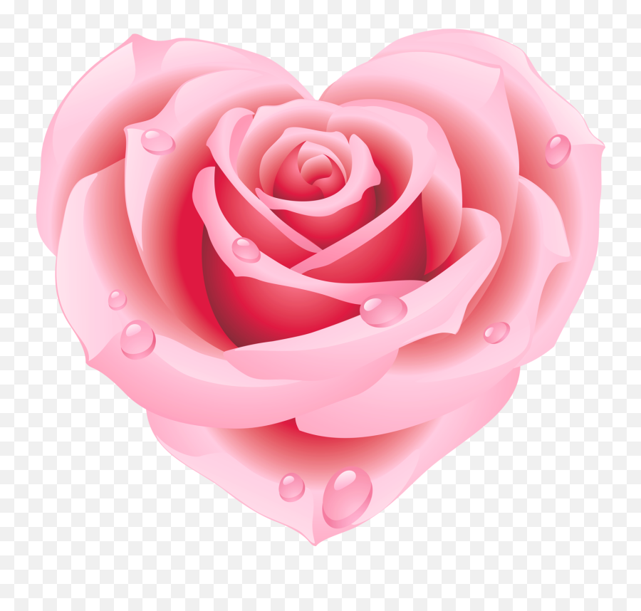 1518x1388 Pixels Pink Roses - Flower Stickers For Whatsapp Png,Pink Roses Png