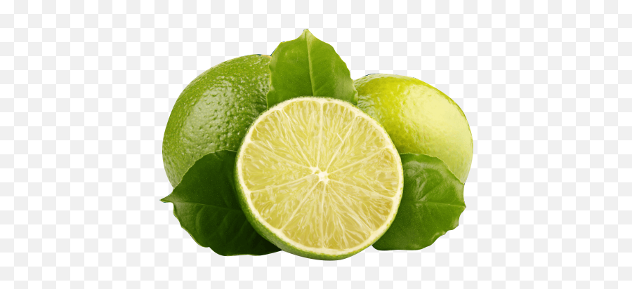 Gallery - Lime On White Background Png,Lemon Png