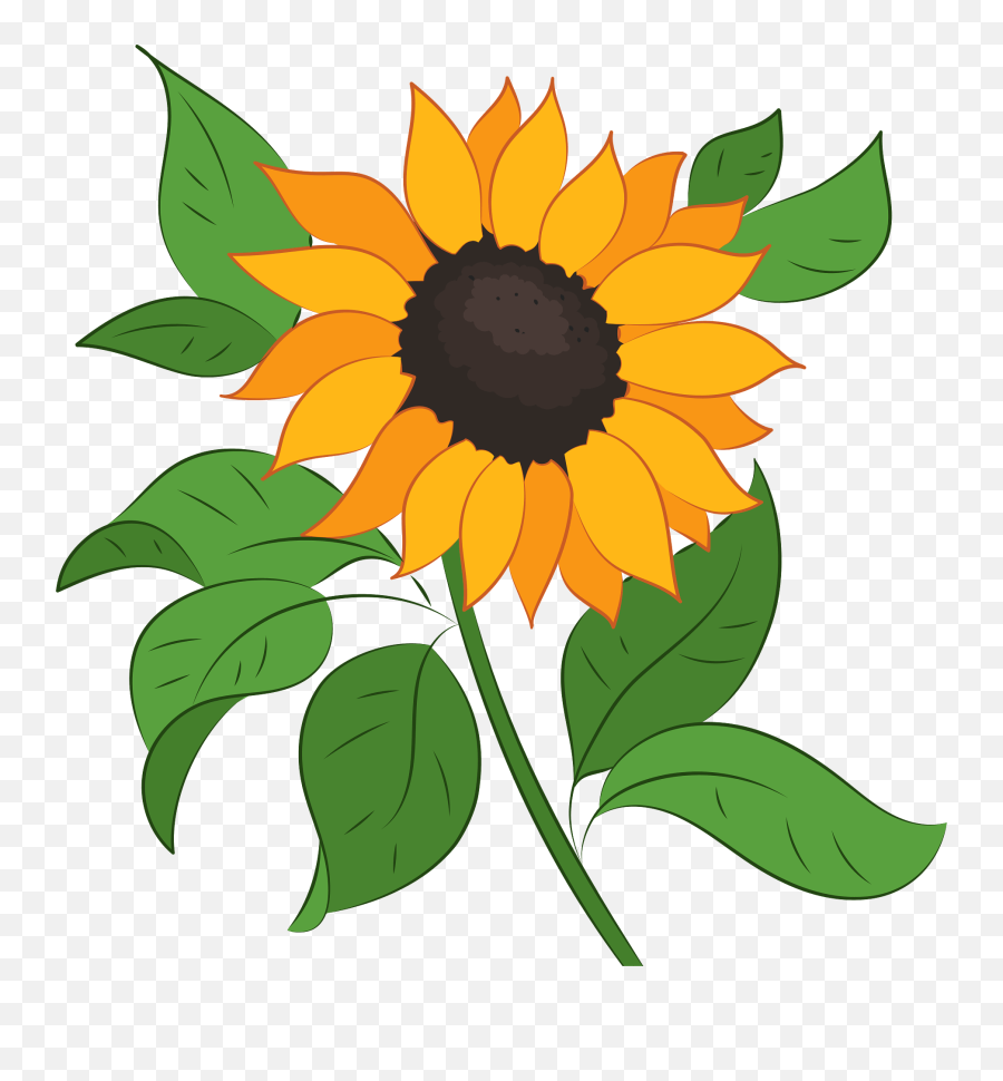 Sunflower Clipart - Sunflower Clipart Png,Sunflower Clipart Png