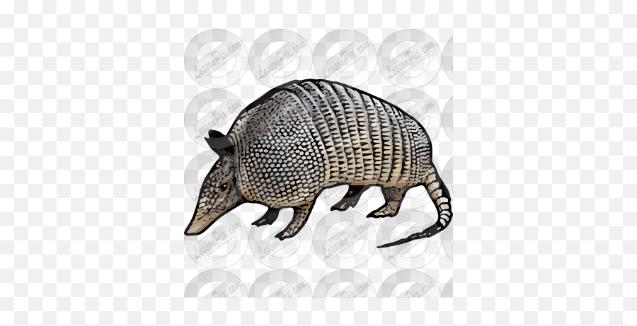 Armadillo Picture For Classroom Therapy Use - Great Armadillo Png,Armadillo Png