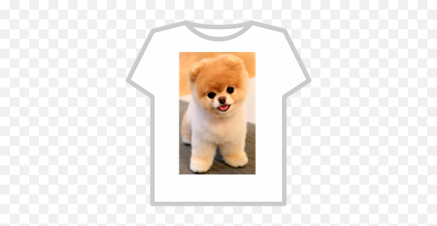 Boo - Pomeranian Roblox Little Dog In The World Png,Pomeranian Png