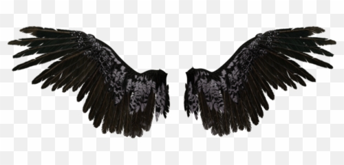 Devil Wings Concept Artwork Background U0026 Png Download Hd - Black Angel Transparent