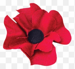 About The School - Poppy Png,Poppies Png