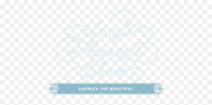 Flowers Generally Archives - The Right Flowers Event Png,Macy's Icon