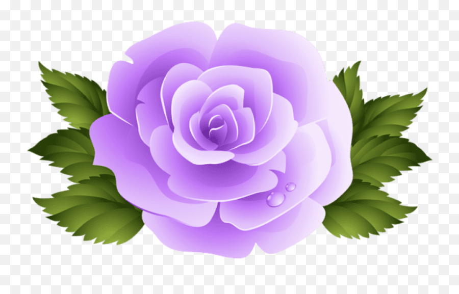 Purple Rose Png - Pink Rose Flower Clipart,Rose Clipart Transparent Background