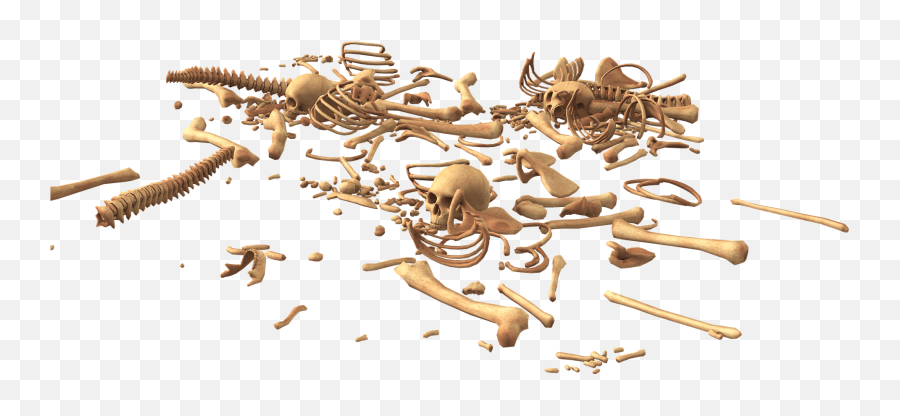 Bones - Robin Barefield Pile Of Bones Png,Bones Png