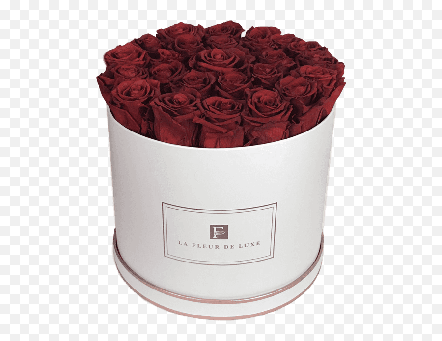 Large Round Box With Deep Red Rose Arrangement - Garden Roses Png,Red Rose Transparent