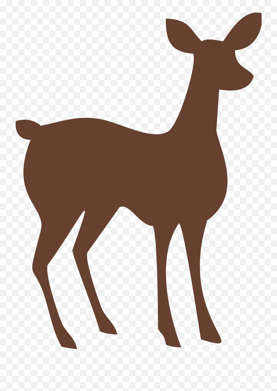 Southeastern Ma Control Services Ohdeer - Animal Figure Png,Dearest Deer Icon