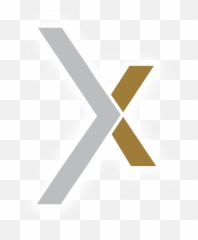 Hirexhire Home Chicago - Based Recruiting and Talent Consultancy Vertical png