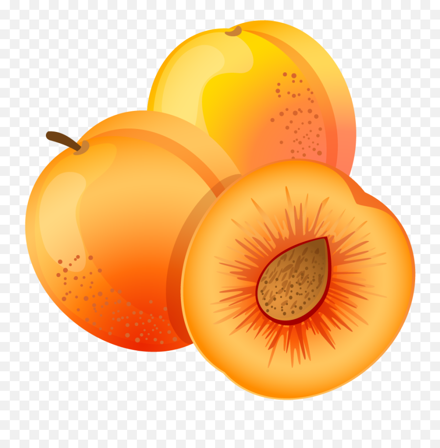 Apricot Clipart - Png Download Full Size Clipart 399063 Clipart Apricot Png,Sektglas Icon