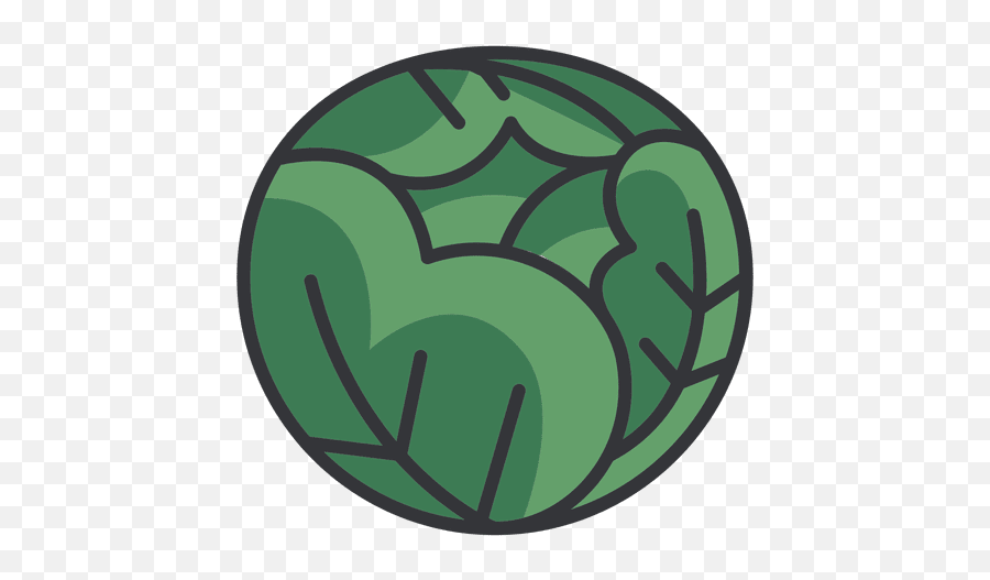 Cabbage Color Icon Transparent Png U0026 Svg Vector