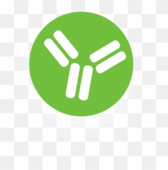 Abcalis Png Antibody Icon