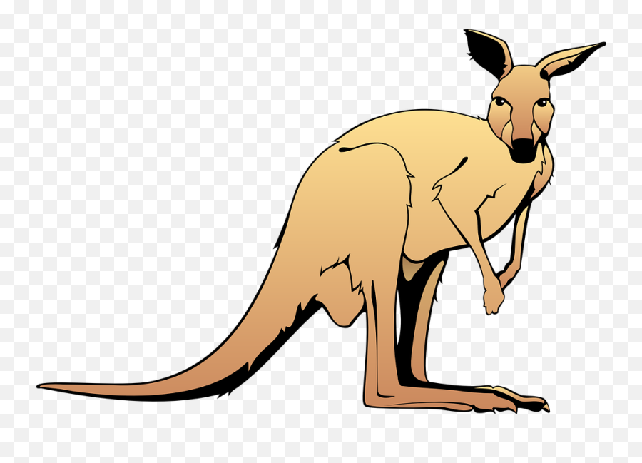 Kangaroo Clipart - Kangaroo Clip Art Png,Kangaroo Transparent Background