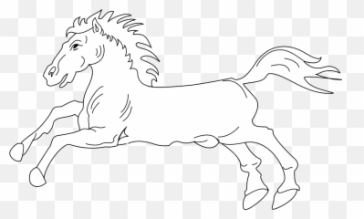 Cavalo Branco Em Png - Horse, Transparent Png - kindpng