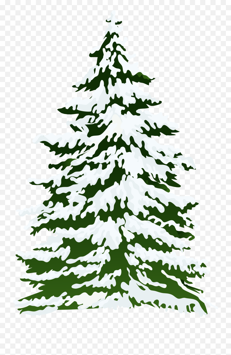 Pine Tree Clipart Library Stock Outline - Snowy Pine Trees Clipart Png,Pine Tree Transparent Background