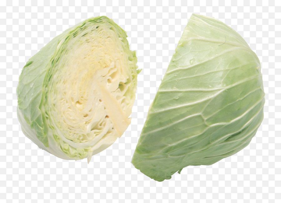 Cabbage Png Image Without Background - Cabbage,Cabbage Png