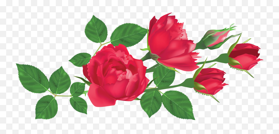 Download Free Png Image - Transparent Red Roses Png Clipart Rose And Leaf Png,Red Rose Png