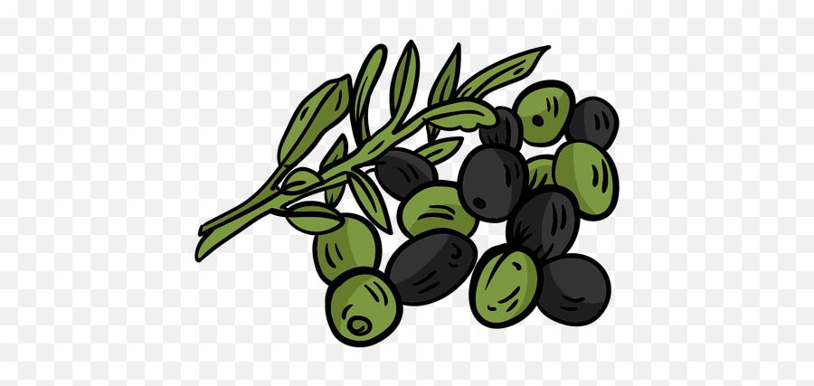 Olive Branch Leaf Flat - Transparent Png U0026 Svg Vector File Olive,Olive Tree Png