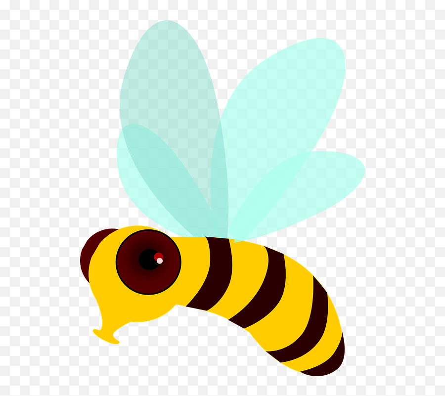 Honey Bee Fly Png Movie