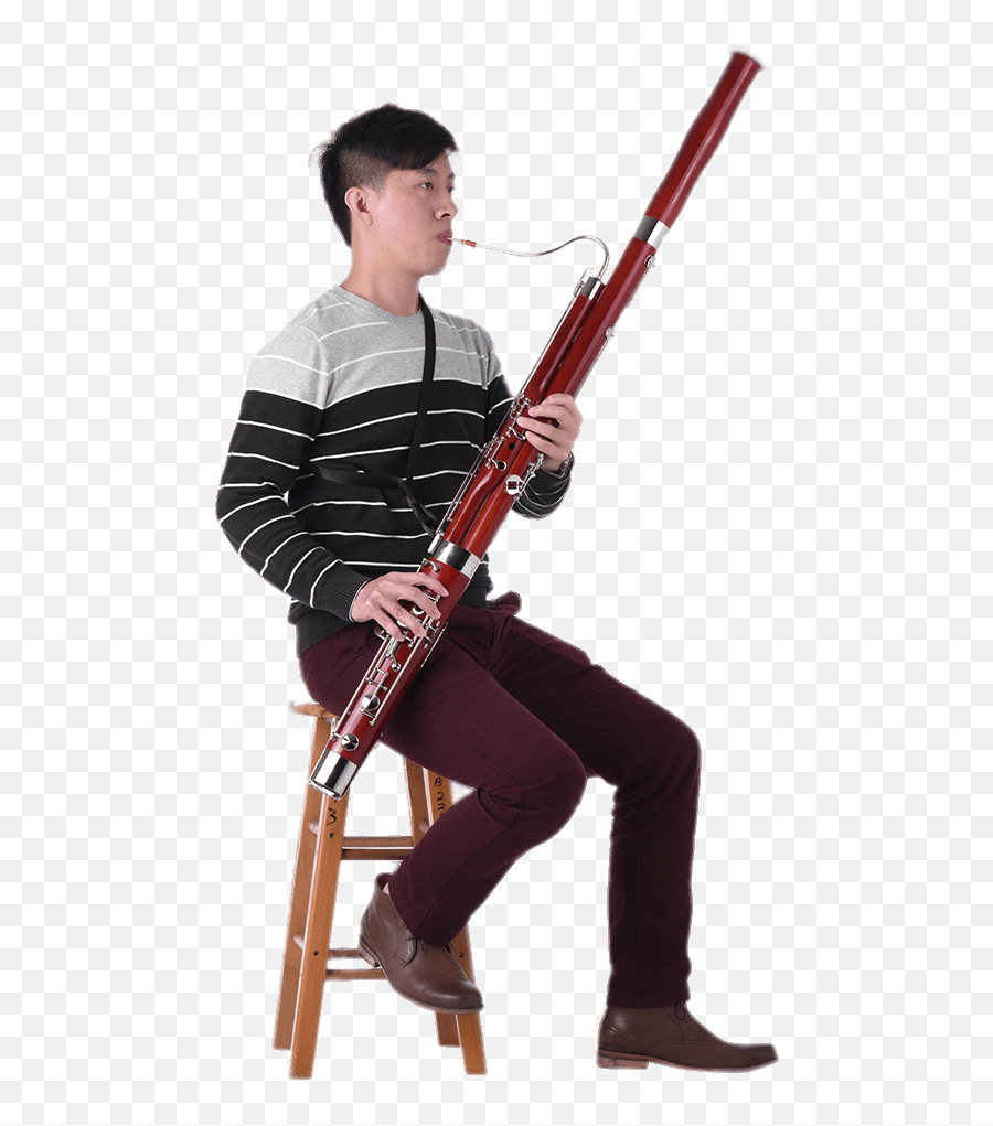 Musician Playing The Bassoon - Playing Bassoon Png,Bassoon Png