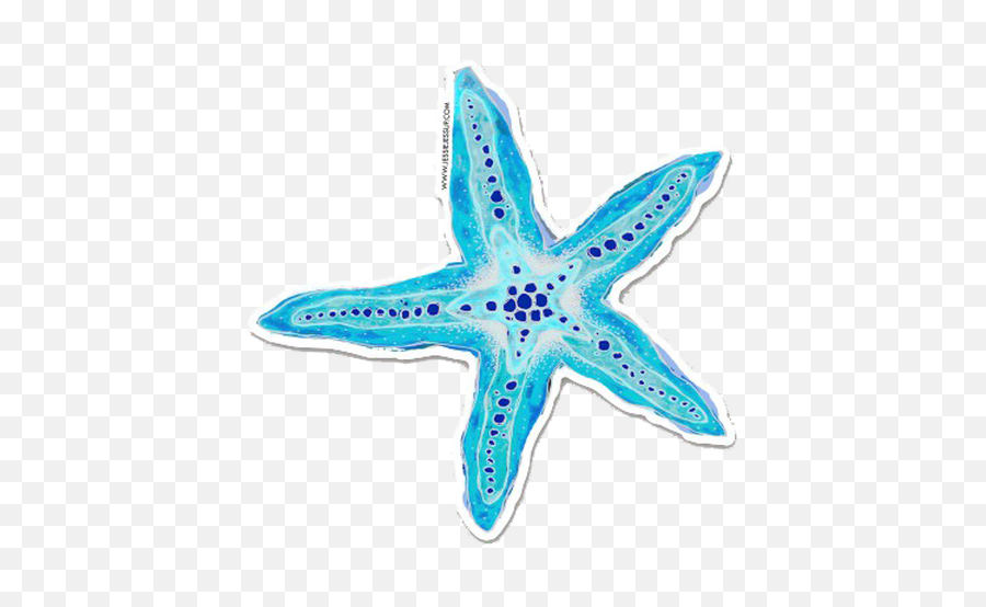 Sea Star Sticker - Sea Star Png Stiker,Sea Star Png