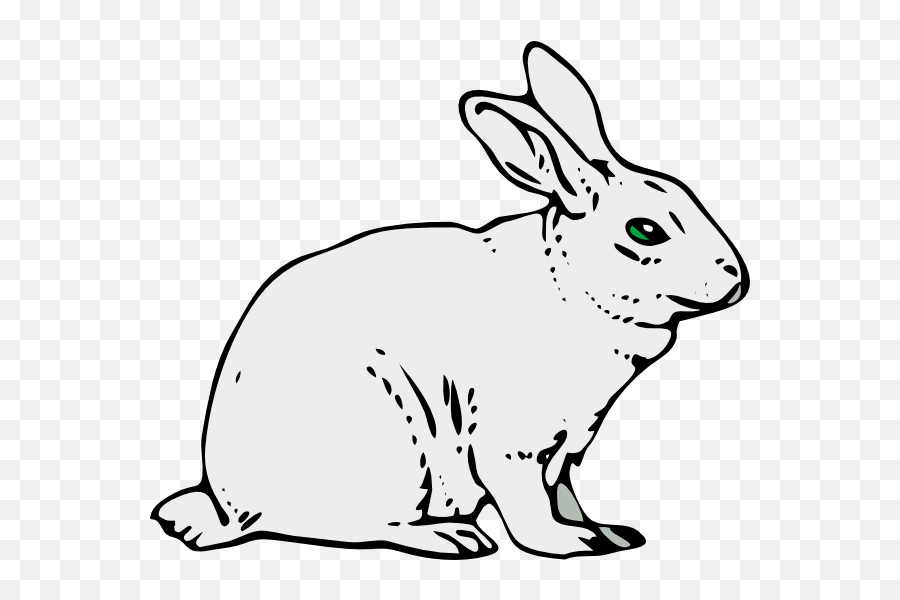 Bunny Rabbit Clip Art - Rabbit Black And White Clipart Png,White Bunny Png