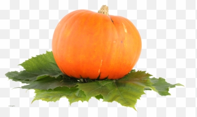 Pumpkin Png Image - Big