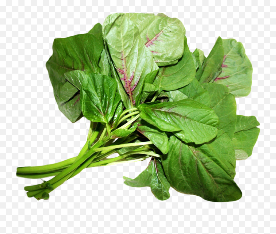 Amaranth Leaves Png Image - Managu,Spinach Png