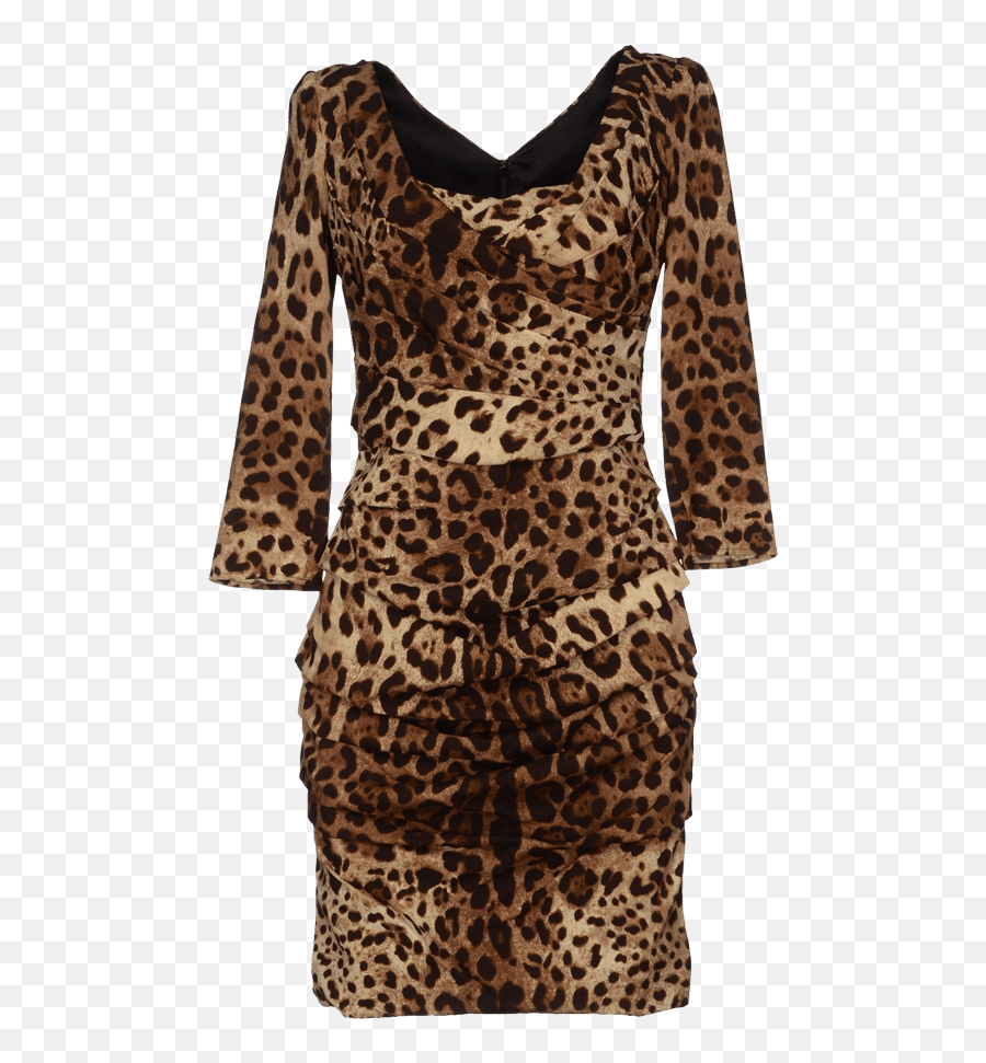 Paula Patton Dolce Gabbana Skin Tight - Animal Print Png,Leopard Print Png
