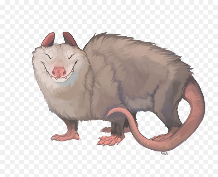 Fur Affinity Dot - Opossum Transparent Png,Opossum Png