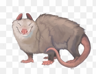 Fur Affinity Dot - Opossum Transparent Png,Opossum Png