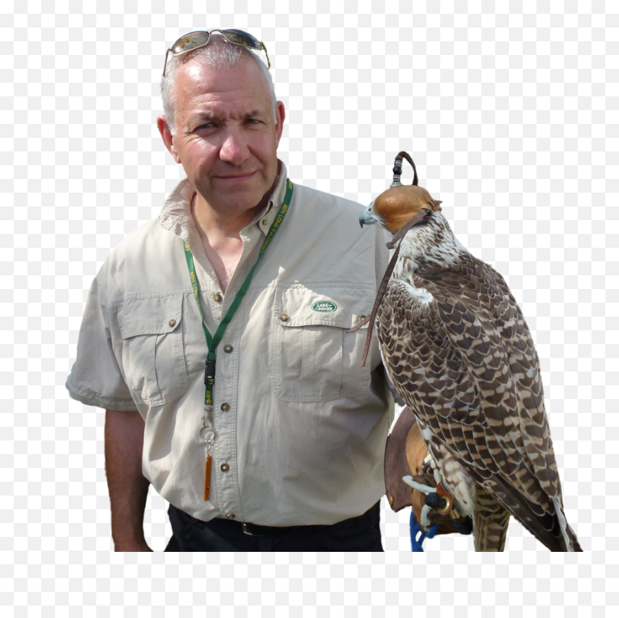 Falconry Services In Lincolnshire By Swat Pest Control - Falcon Png,Falcon Transparent