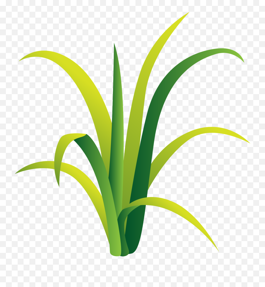 Free Grass Png With Transparent Background - Vertical,Green Grass Png