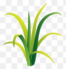 Free Grass Png With Transparent Background - Vertical,Green Grass Png
