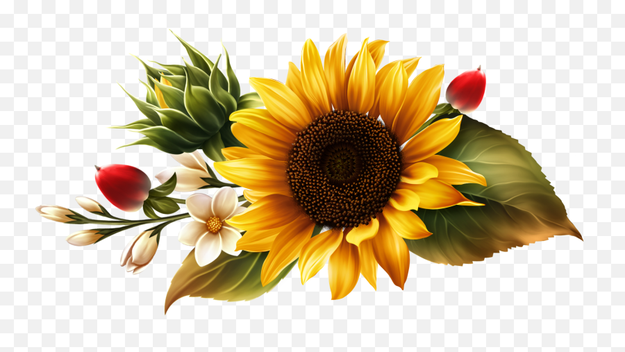 Fall Sunflowers Png U0026 Free Sunflowerspng Transparent - Buna Dimineata Un Sfarsit De Saptamana,Diamonds Falling Png