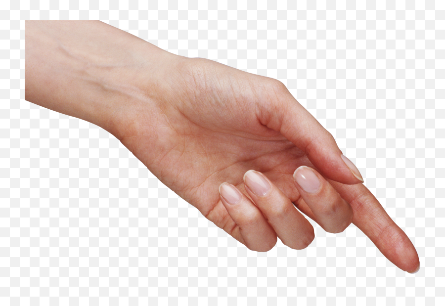 Hand Png Image With No Background - Hand Png,Png Hand