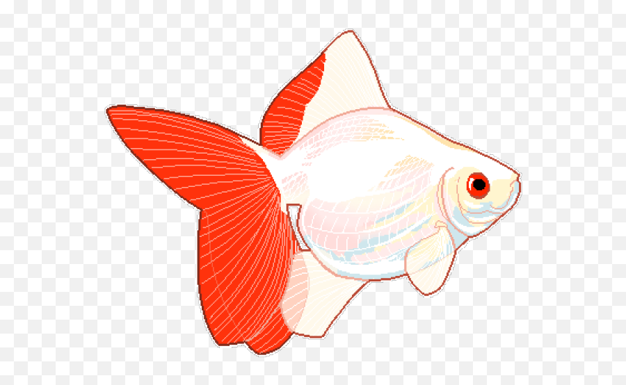 22 Goldfish Clipart Transparent Tumblr - Fish Png,Goldfish Transparent