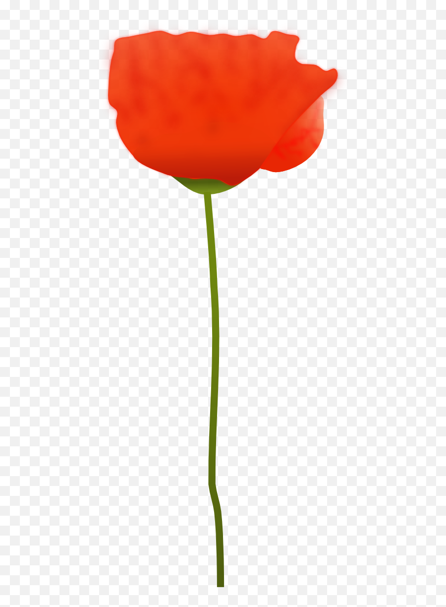 Library Of Poppy Flower Graphic Free - Transparent Red Poppy Flower Vector Png,Poppies Png