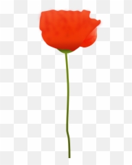 Library Of Poppy Flower Graphic Free - Transparent Red Poppy Flower Vector Png,Poppies Png