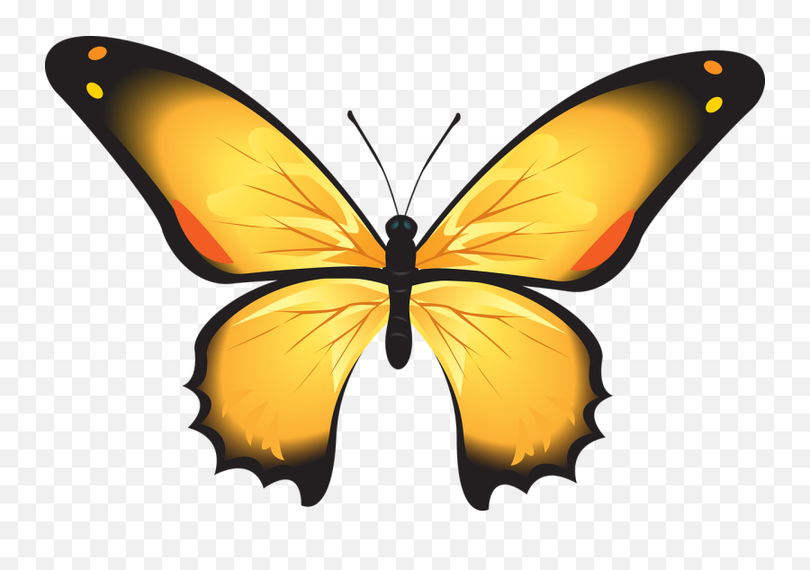 Butterfly Colorful Yellow Insect - Kupu Kupu Png Cartoon,Butterfly Logos