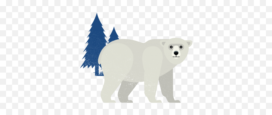 Everything Churchill See Polar Bears Belugas Northern - Animal Figure Png,Polar Bear Icon