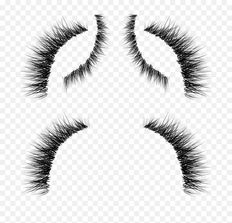 Eyelash Extensions Whiskers Eyebrow Cosmetics - Eyelashes Eyelashes Png,Eyelashes Png