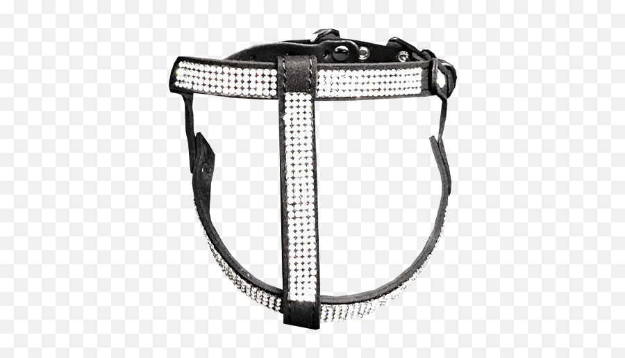 Luxury Dog Boutique U2014 Winter Coats Harnesses Unique - Martingale Png,Diamond Dogs Icon